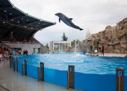 Delfinarium Hurghada