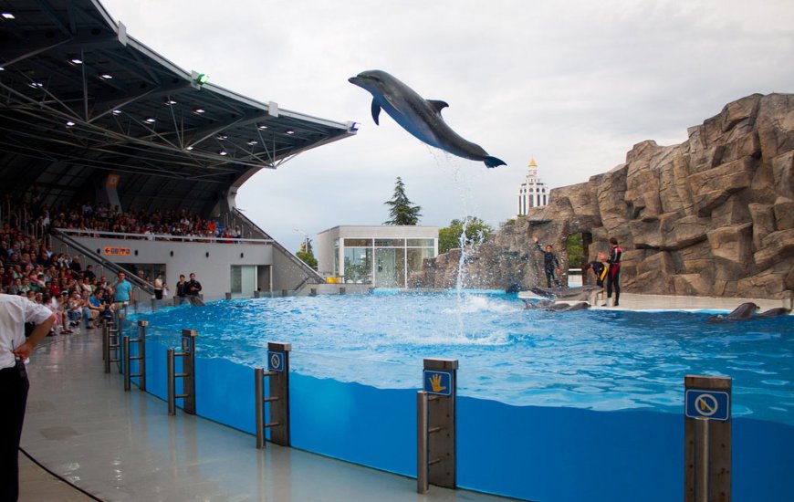 Delfinarium Hurghada