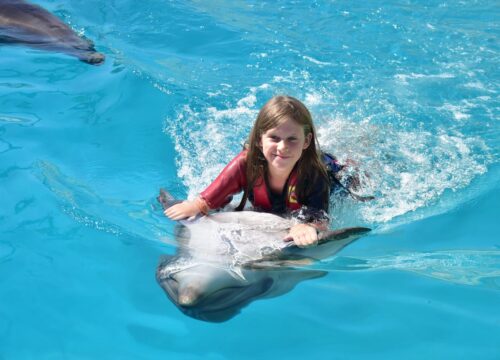 Pokaz w Dolphin World z dodatkową pływacką sesją zdjęciową
